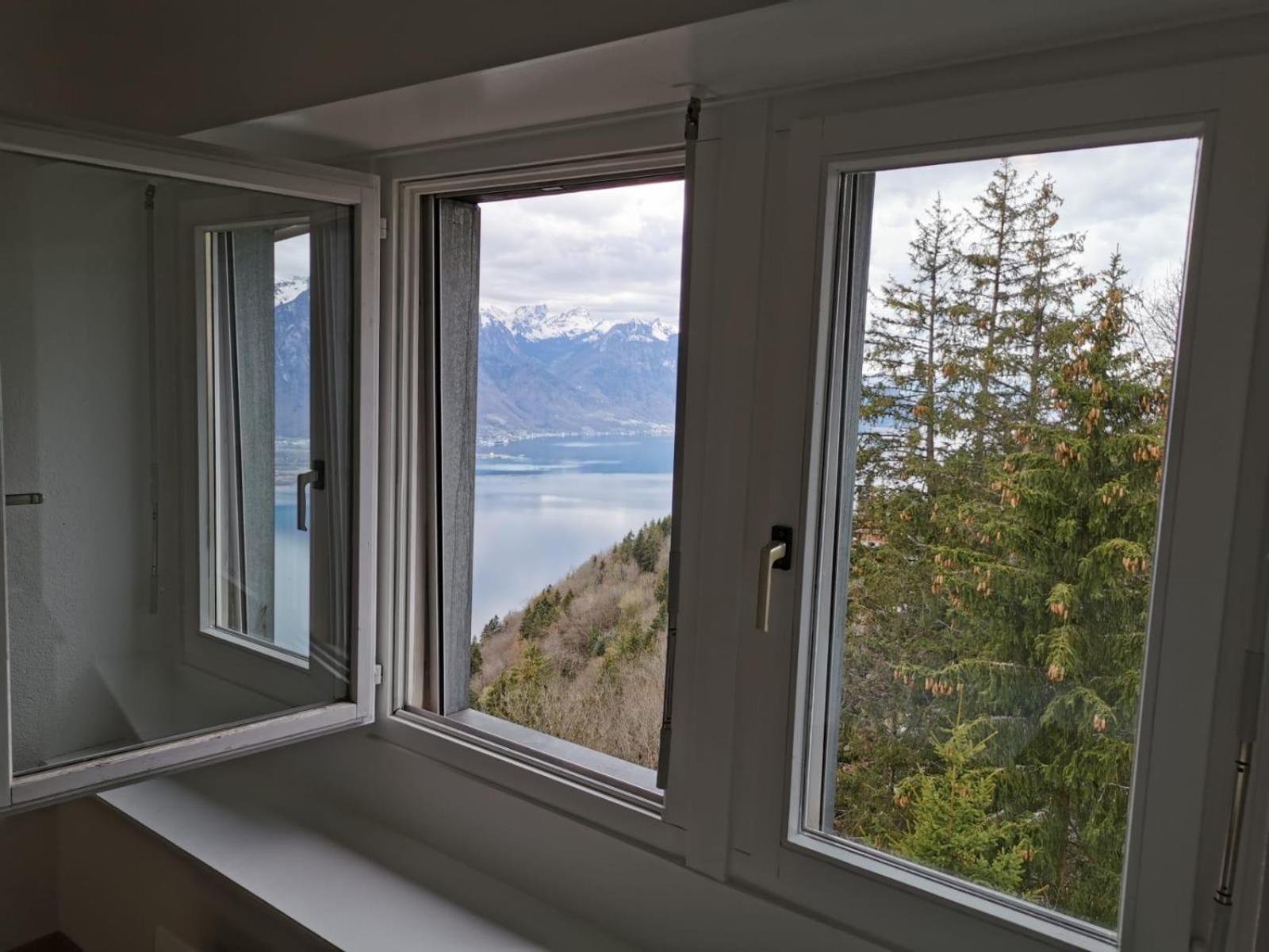 Residence Alpina Caux Montreux Exteriér fotografie